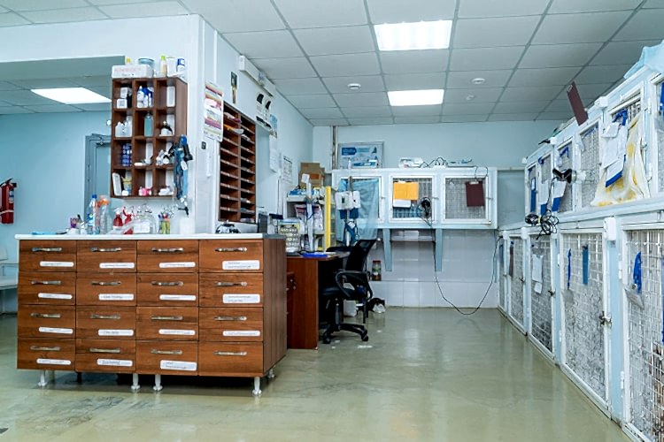 ссылка на страницу с фотографиями клиники Акелла