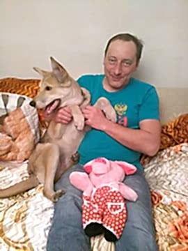 На фото №1 пес Тоша нашел дом