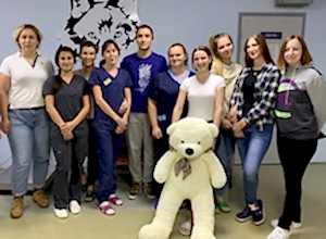 Новость от ветеринарной клинике Акелла №10