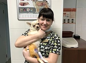 Новость от ветеринарной клинике Акелла №3