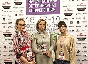 Новость от ветеринарной клинике Акелла №11