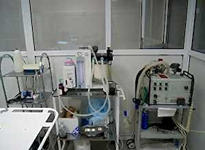 Новость от ветеринарной клинике Акелла №1