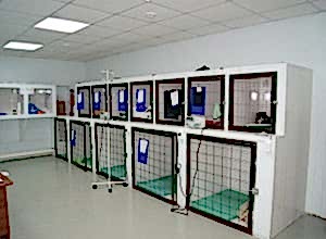 Новость от ветеринарной клинике Акелла №2