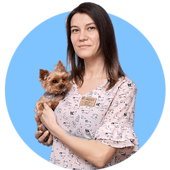 на фото: ветеринарный врач клиники Акелла